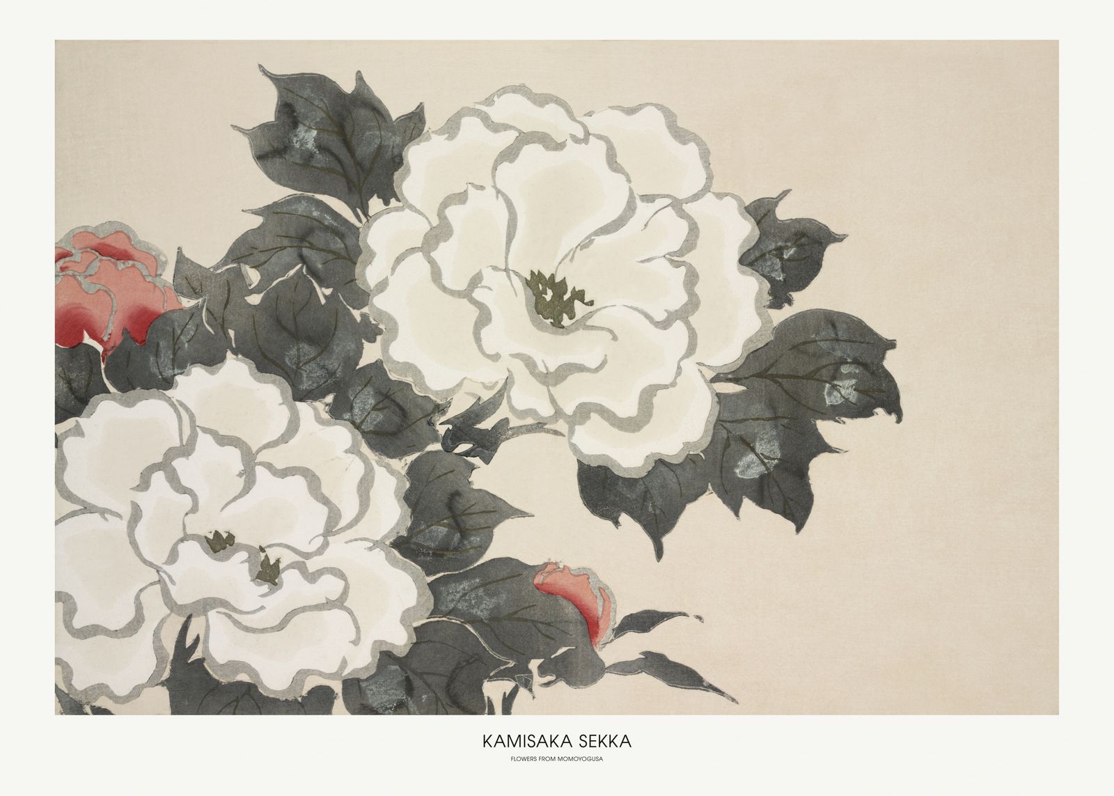 Poster - Kamisaka Sekka Flowers