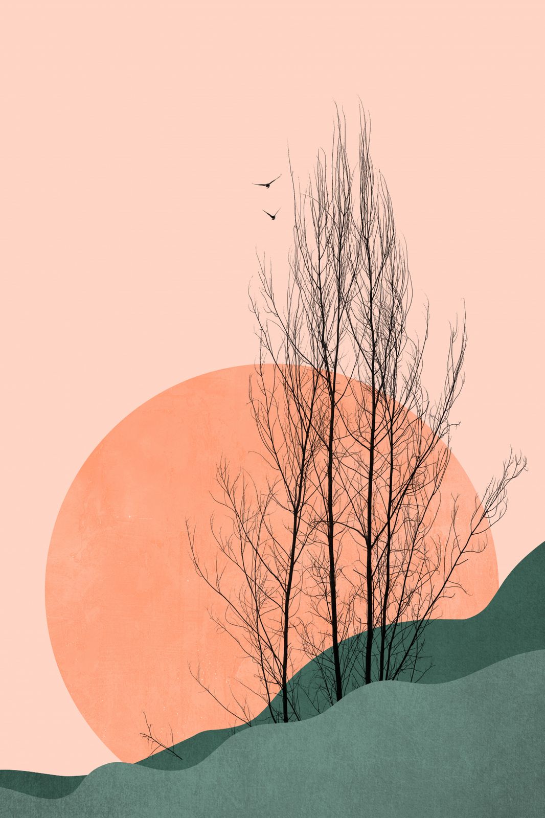 Poster - Tranquil Sunrise