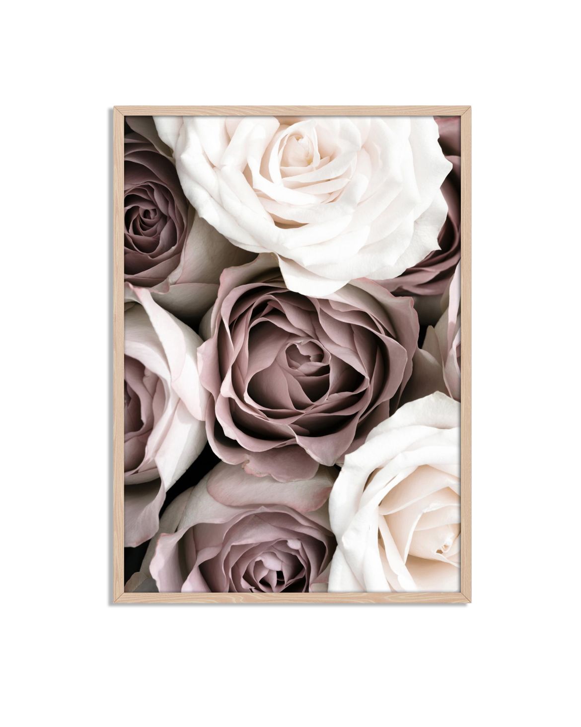 Elegant Roses Poster