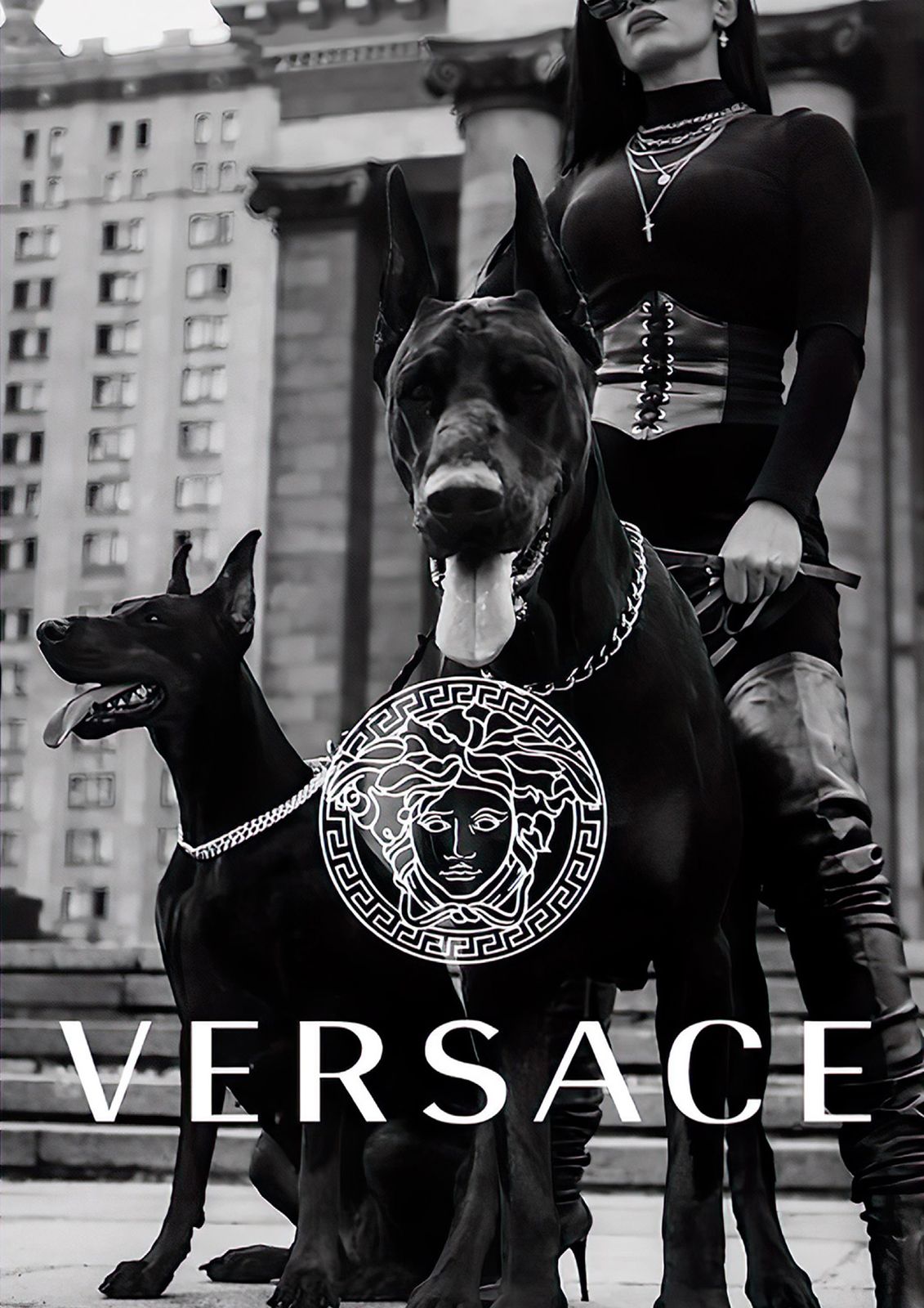 Versace Fashion Dog Poster