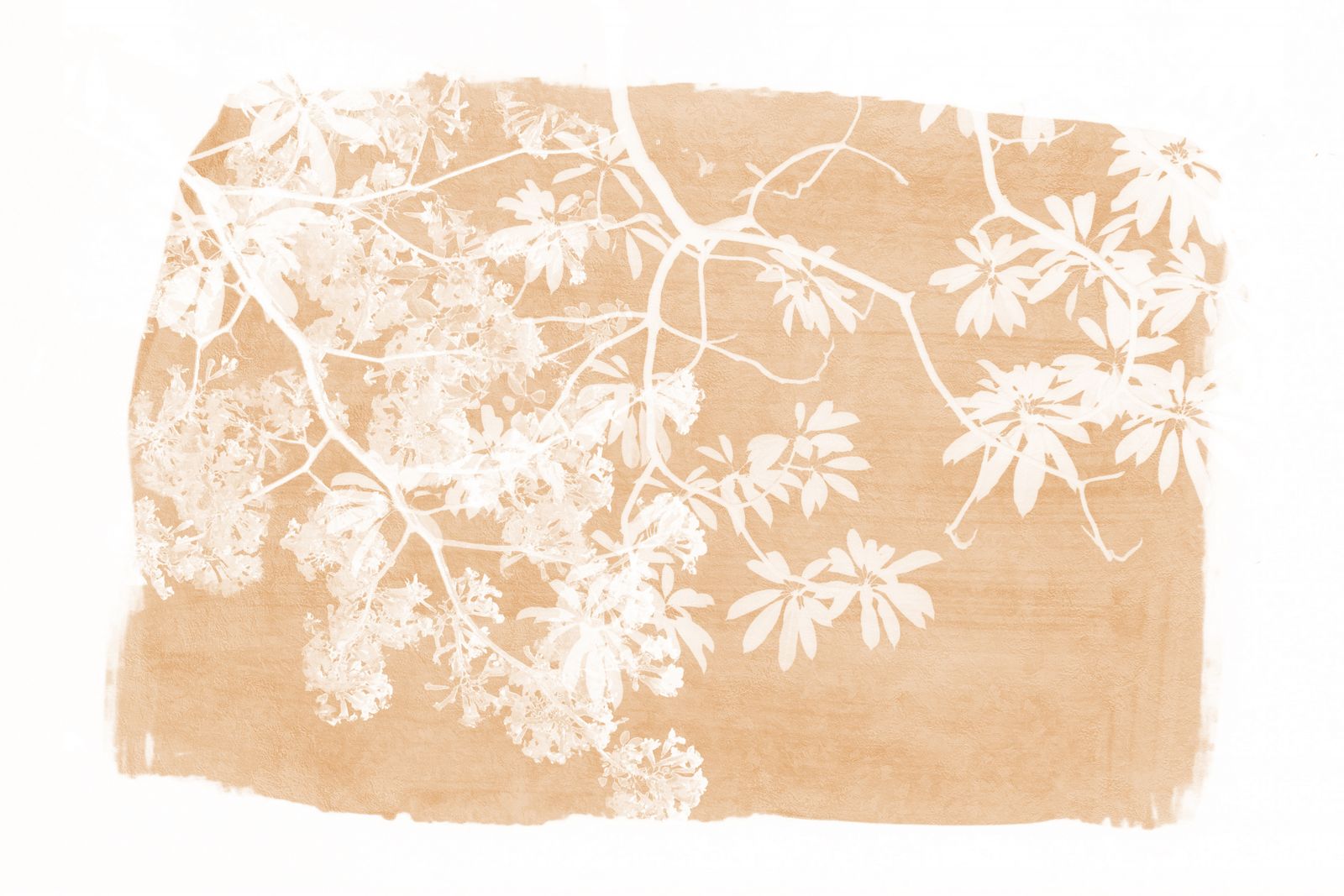 Poster - Botanical Branches
