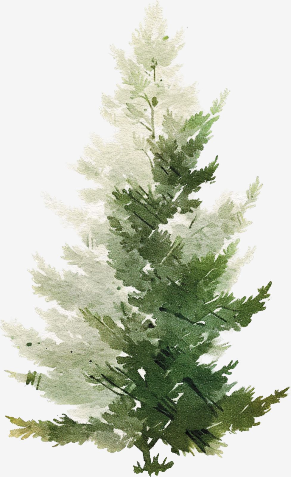 Watercolor Tree Sticker