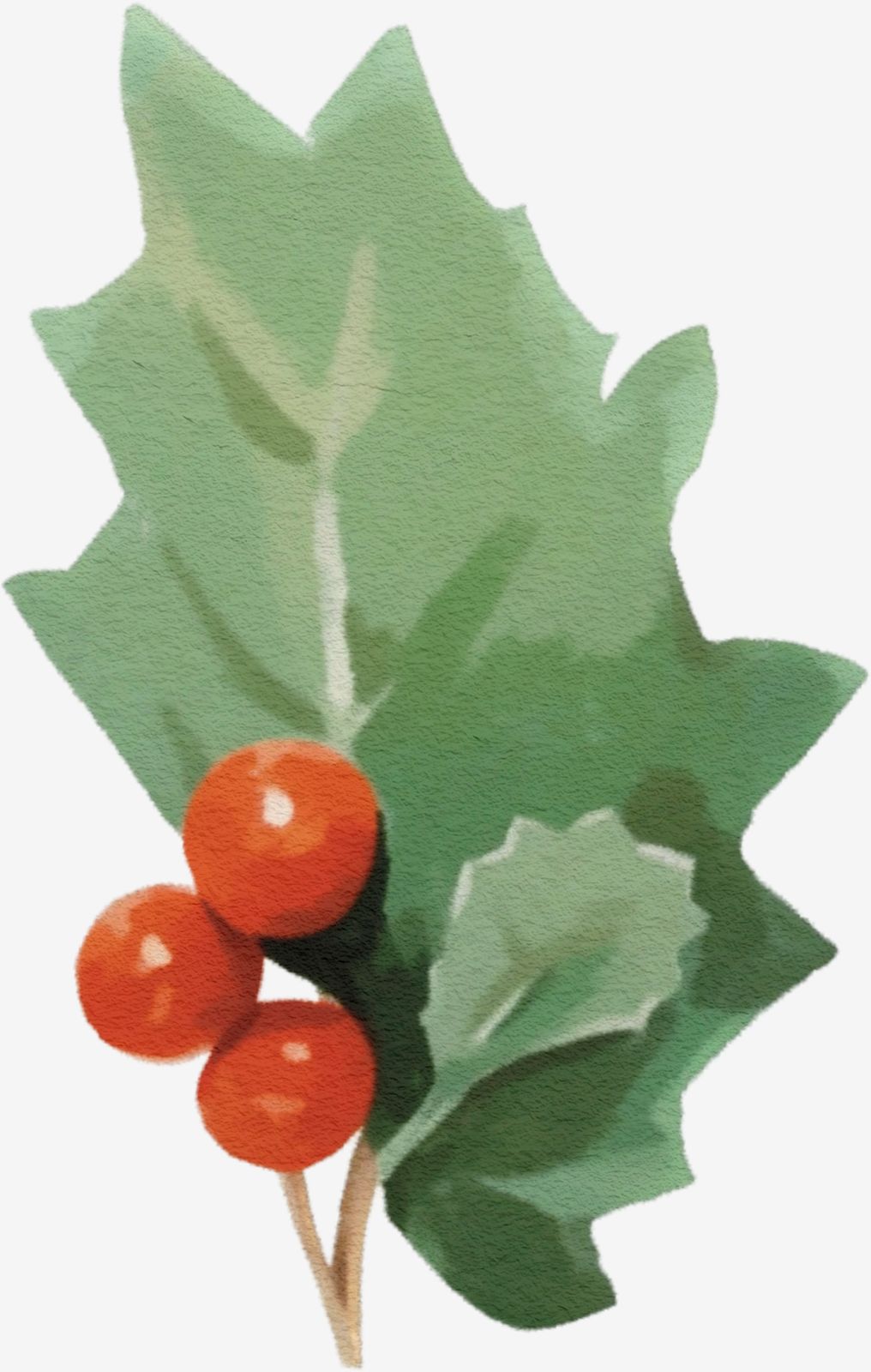 Decorative Holly Leaf Sticker