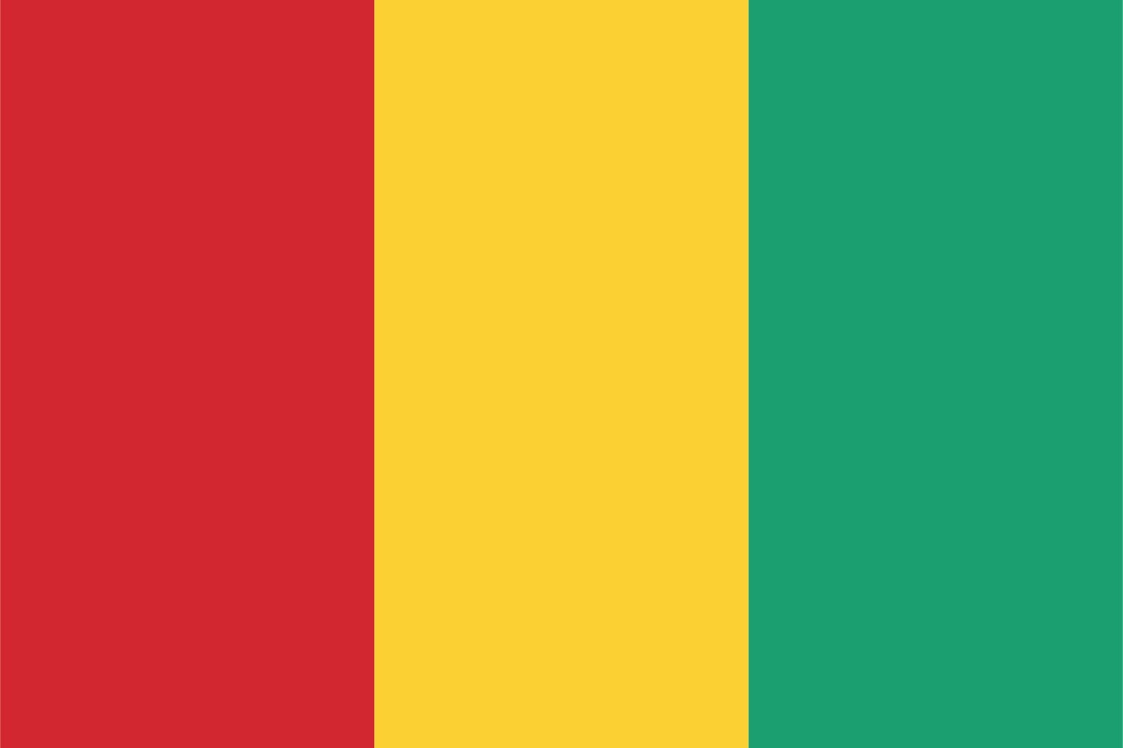 Guinea Flag - Sticker