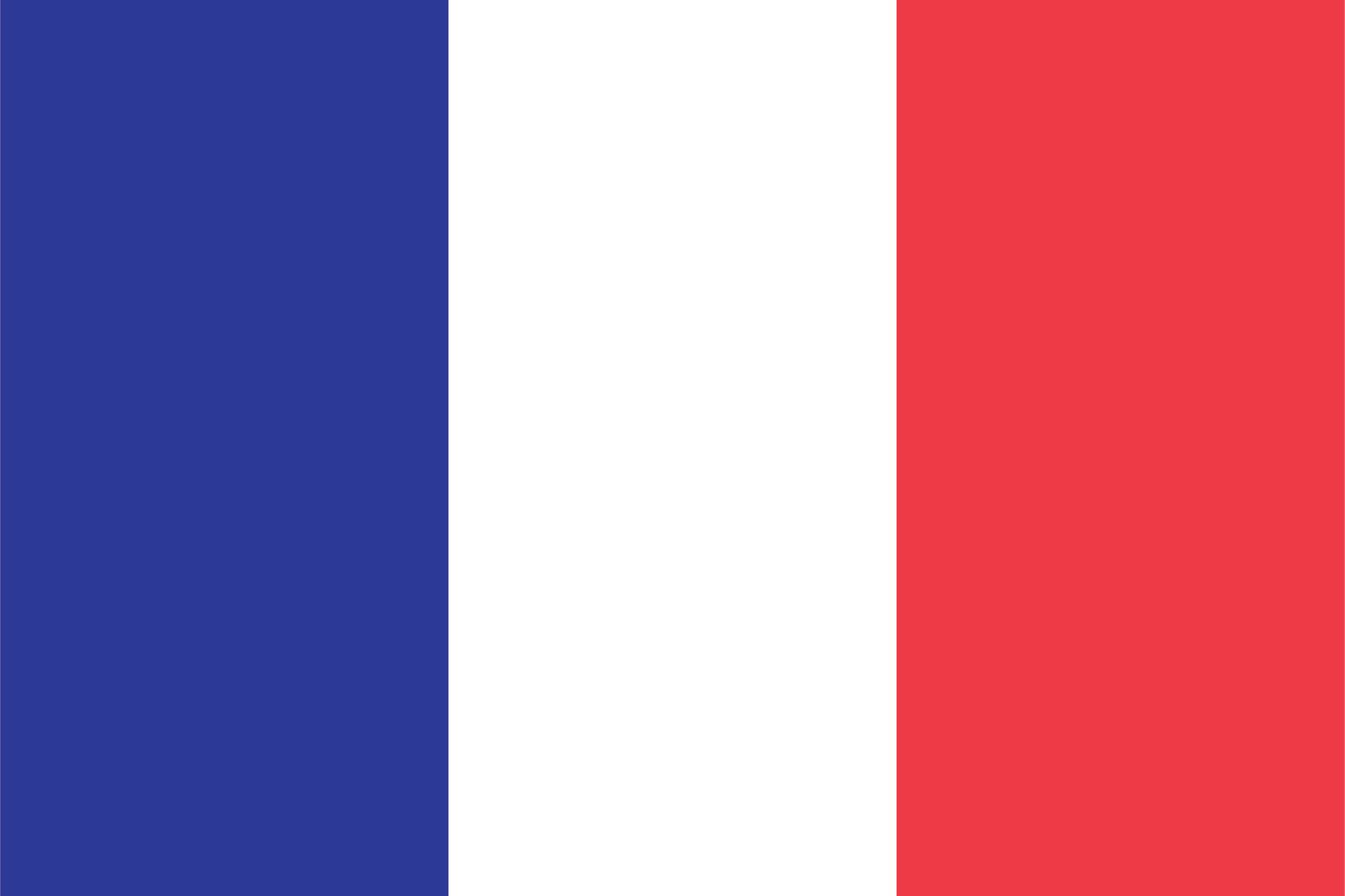 France Flag - Sticker