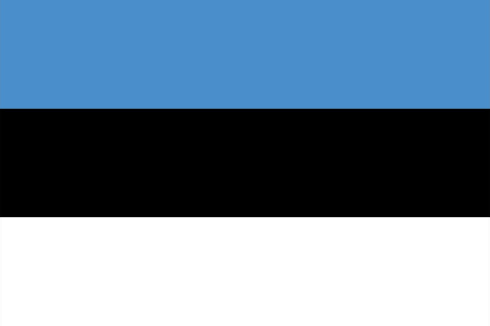 Estonia Flag - Sticker