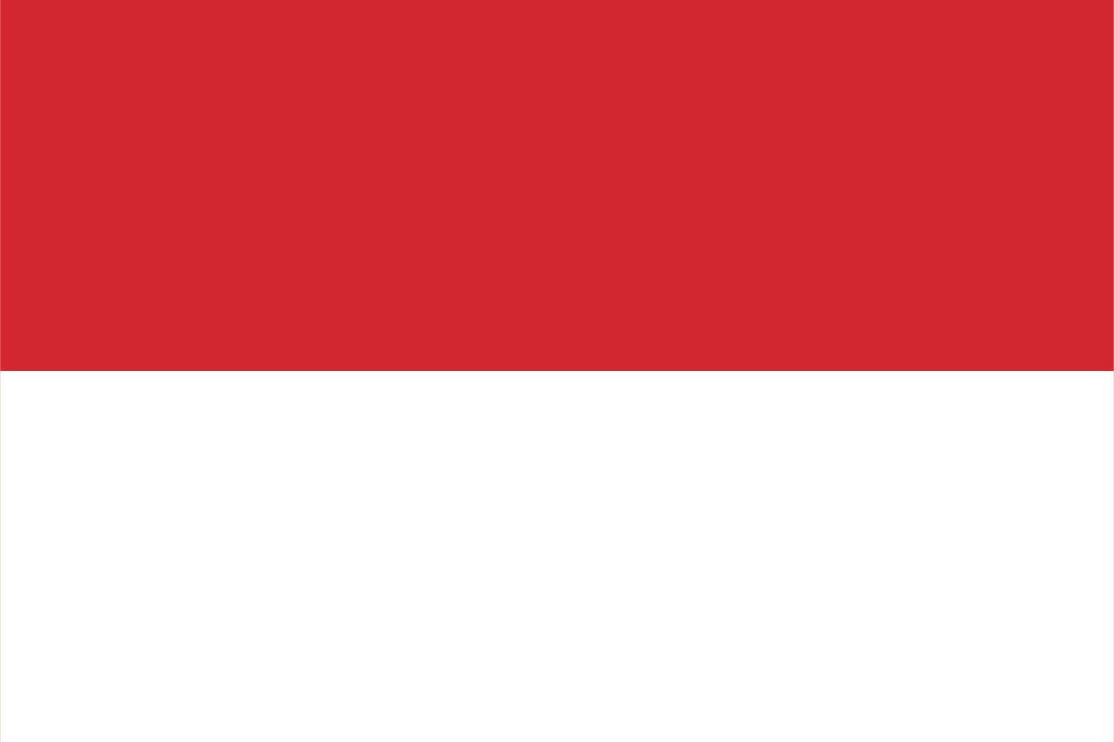 Indonesia Flag - Sticker