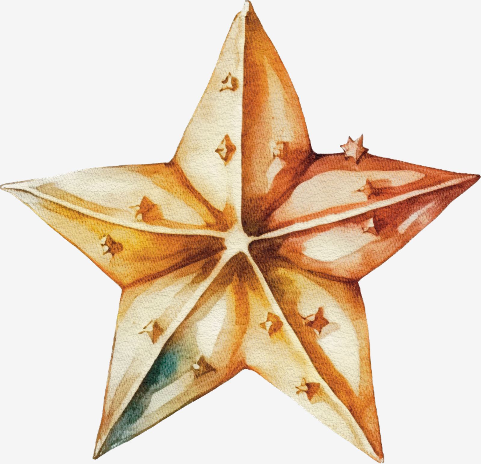 Starfish Sea Life Sticker