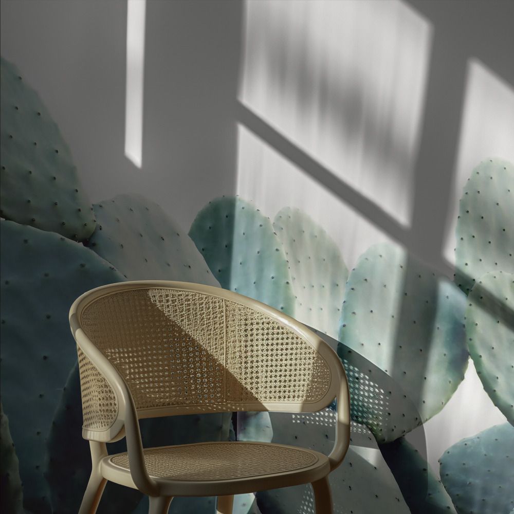 Wall Paper - Desert Cactus Design